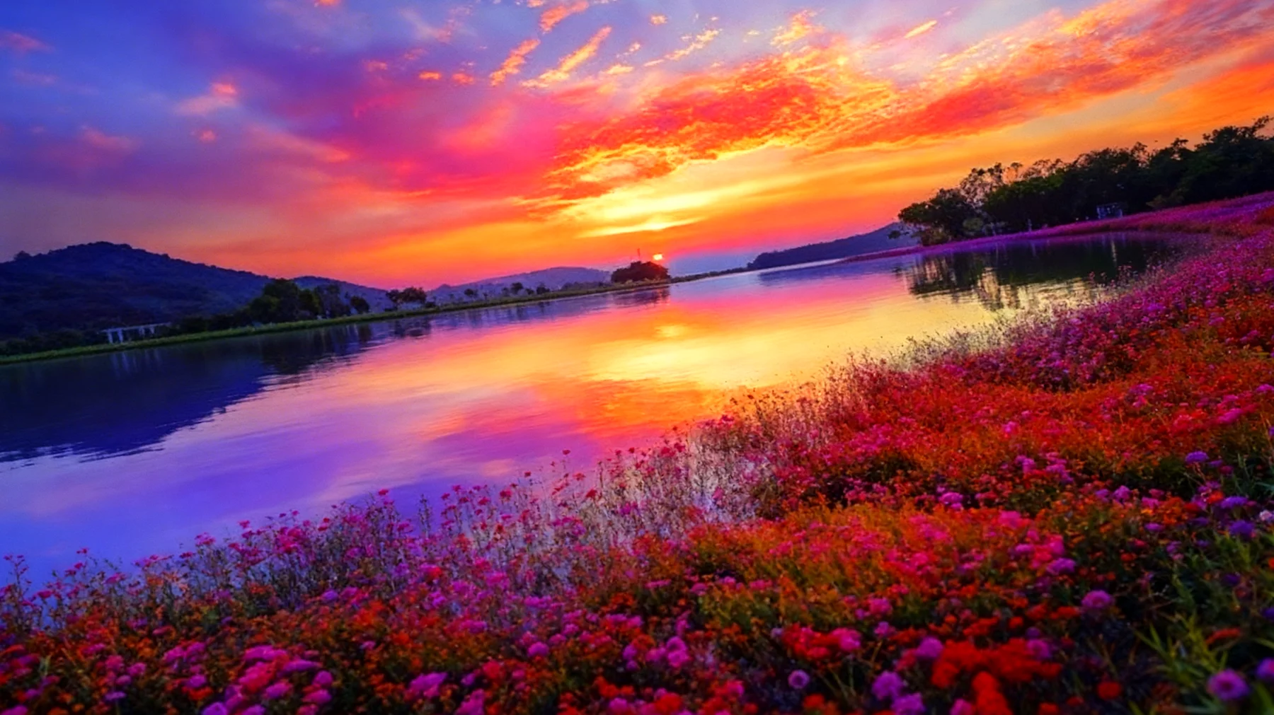 Beautiful 2026-02-18T06:33:28.537Z"